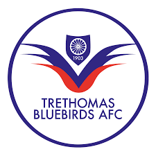 Trethomas Bluebirds