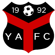Ynyshir Albions
