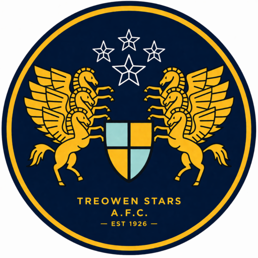 Treowen Stars AFC